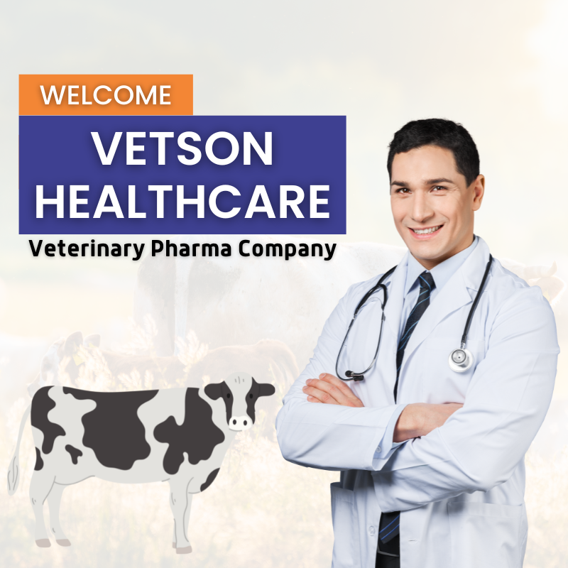 Welcome to Vetson Healthcare