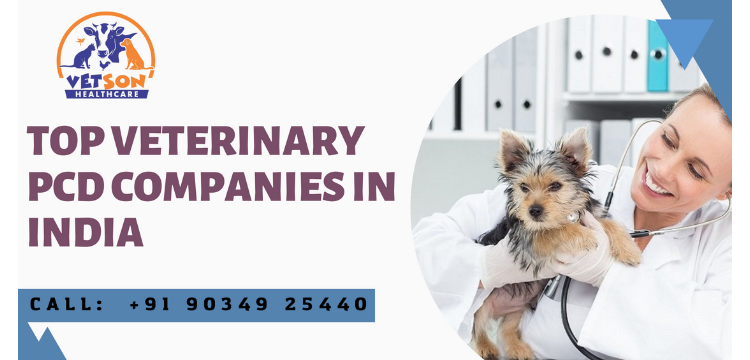 Top Veterinary PCD Companies in India