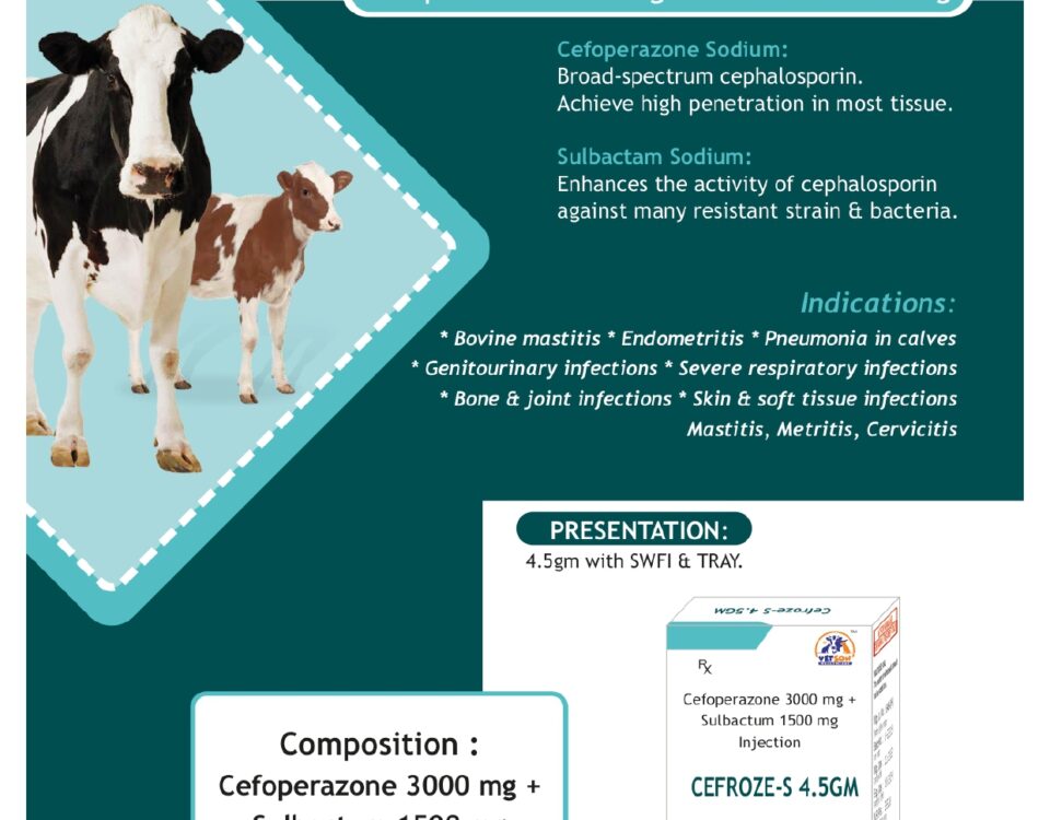 Cefroze-S 4.5gm Injection