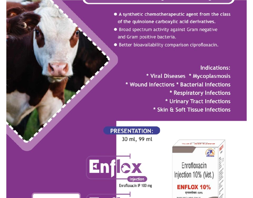 Enflox Injection