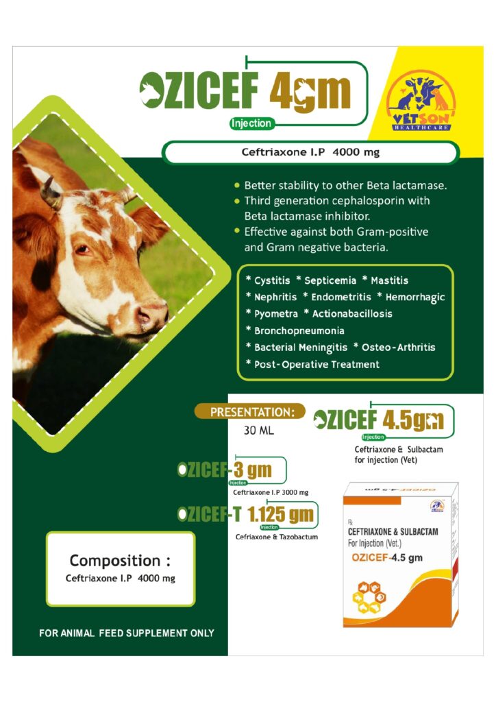 Veterinary PCD Franchise Companies in Kerala