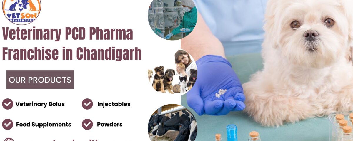 Veterinary PCD Pharma Franchise in Chandigarh
