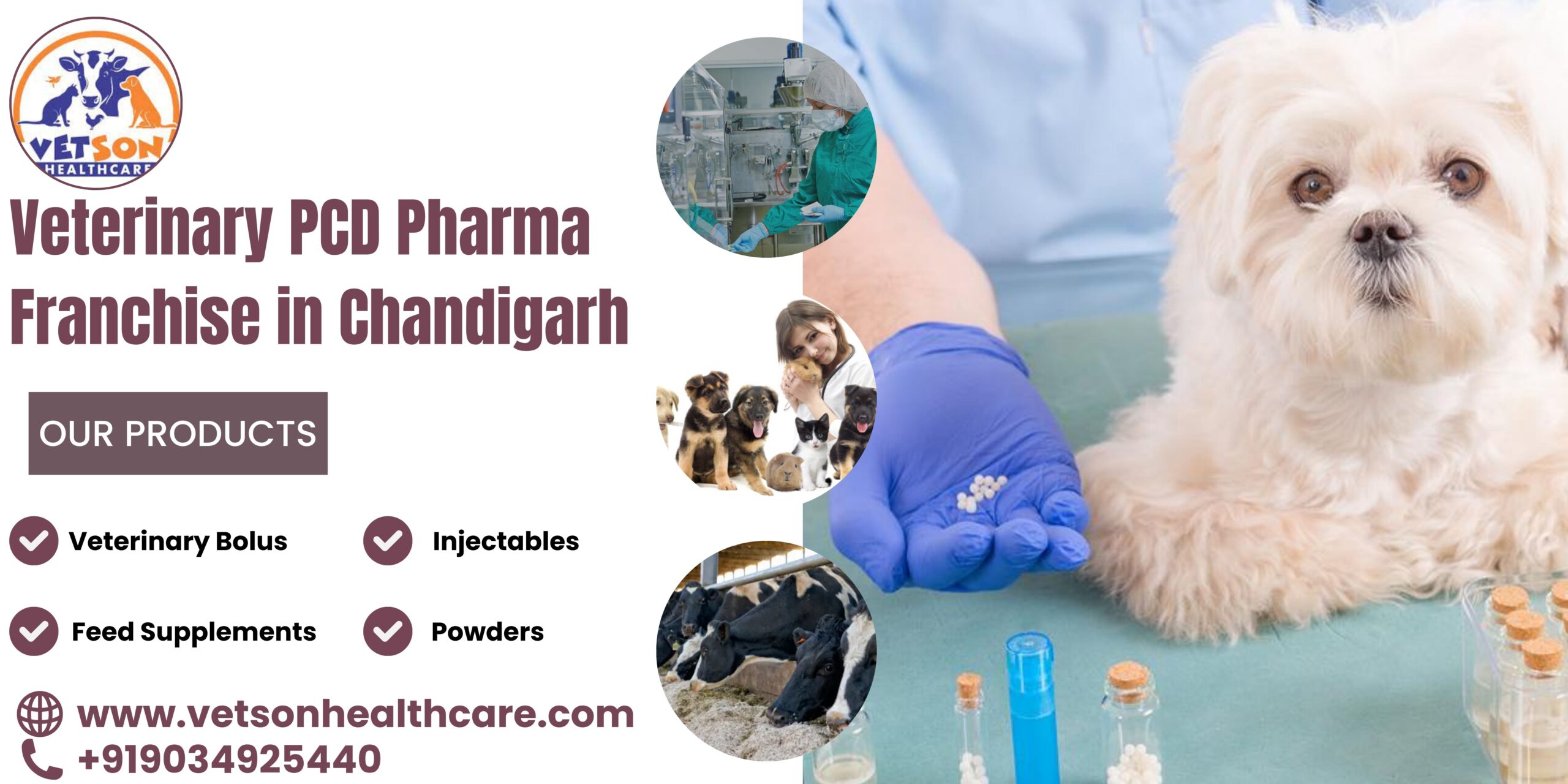 Empowering Veterinary Care: Vetsonhealthcare Introduces PCD Pharma 