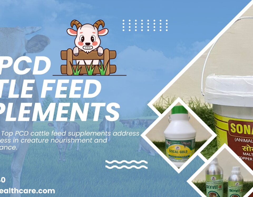 Top PCD Cattle Feed Supplements