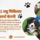 Veterinary-PCD-Pharma-Company-in-India