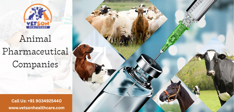 Animal Pharmaceutical Companies