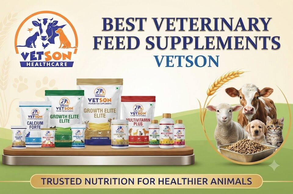 Best Veterinary Feed Supplements Vetson